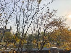 -八大山人梅湖景区