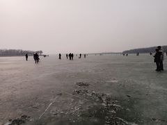 -丁香湖公园