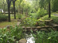 -陈家山荷花公园