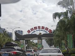 -深圳野生动物园