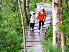 -白草畔自然风景区
