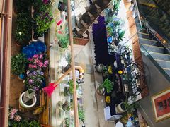 -双季花艺园艺市场(浦东店)
