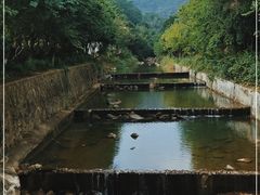 -广州白江湖森林公园