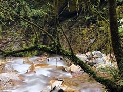 -西岭雪山大飞水景区