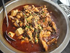 -一撮毛美食城(全力一路店)