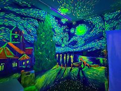 -天津梵高星空艺术馆(天河城旗舰店)