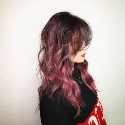 -SALON V