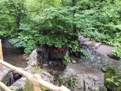 -天女山森林公园