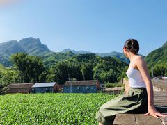 -云岫谷自然风景区