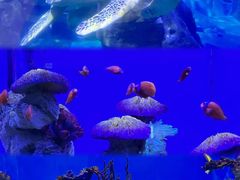 -海合安武汉极地海洋公园