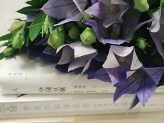 -二酉书店TOYOU BOOKS