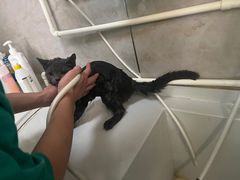 -沐沐家宠物(成寿寺店)