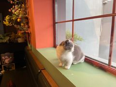 -IFIF 如果花園(宽厚里店)