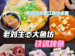 -老刘生态大鱼坊铁锅炖鱼(赛马场店)