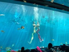 -瑞德姆美人鱼海底演艺主题餐厅(亚龙湾店)