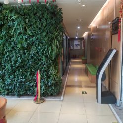 点击看大图 -杭州复旦儿童医院·语言发育迟缓·自闭症干预·注意力训练