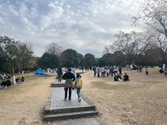 -南京市江宁方山