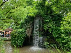 -上海野生动物园