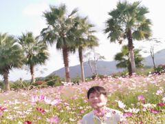 -亚龙湾国际玫瑰谷