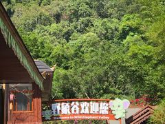 -野象谷景区