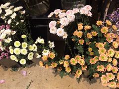 -红沃烤肉(家乐福2部店)