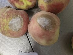 -果乐多生鲜超市(宏业广场店)