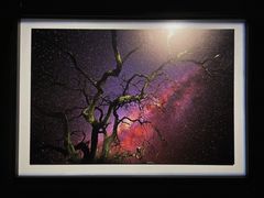 -罗红摄影艺术馆