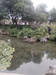 -玄武湖景区-情侣园游乐场