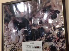 -太婆天府山珍酒楼(亚运村店)