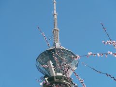 -裕华世纪公园