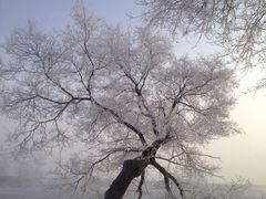 iphone_upload_pic-雾凇岛