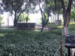 -重庆市江北嘴中央商务区中央公园