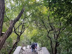 -千佛山风景名胜区