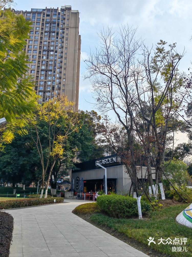 万象公园,高楼林立中的春日林间7715