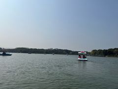 -昆山城市生态森林公园