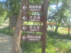 -阳台山自然风景区