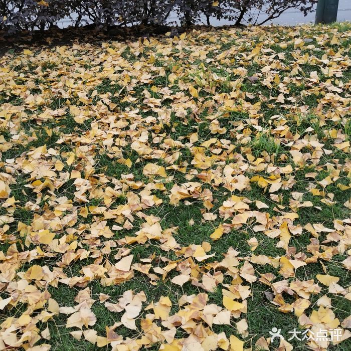 老号尤兔头(西川店)图片