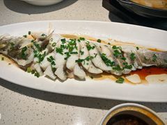 -船歌·鱼水饺青岛菜(金狮广场店)