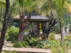 -西双版纳傣族园