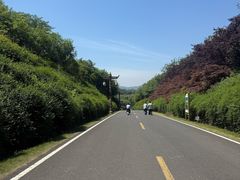 -宜兴龙背山森林公园