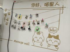 -楼上猫咖(罗湖店)