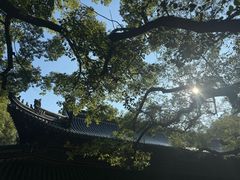 -普陀山风景名胜区-法雨禅寺