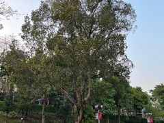 -广州市白云山风景名胜区