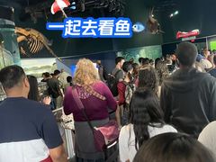 -瑞普利水族馆