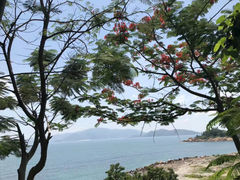-芽庄珍珠岛游乐园
