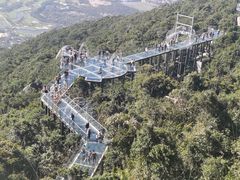 -亚龙湾热带天堂森林公园