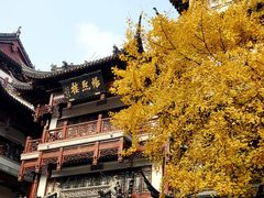 -南翔馒头店(豫园店)