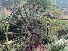 -金子山原生态旅游风景区