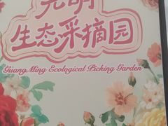 -上海鲜花港