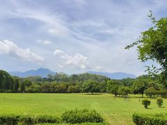 -福建鲤鱼洲酒店